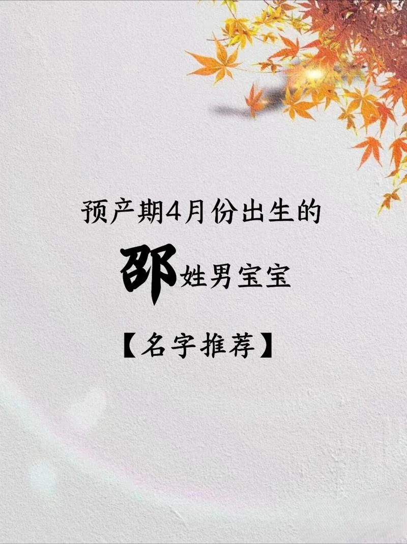 姓邵男孩起名大全好听_2