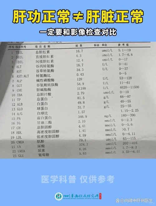 肝功能阴性是什么意思_1