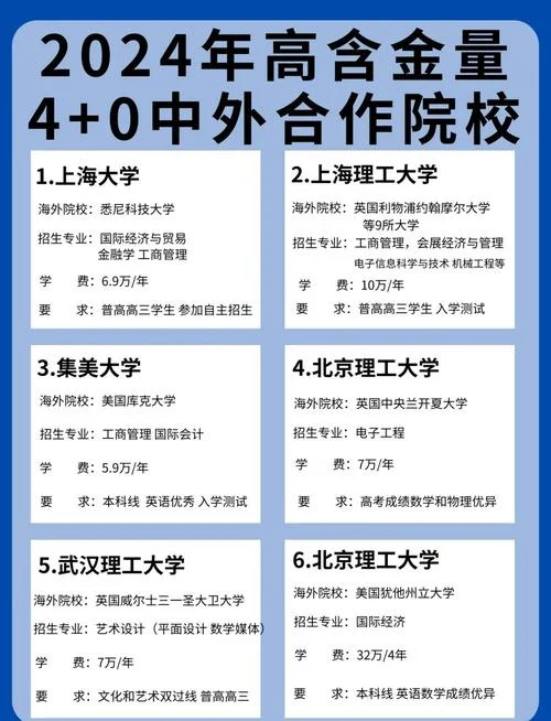大学中外合作办学什么意思_1