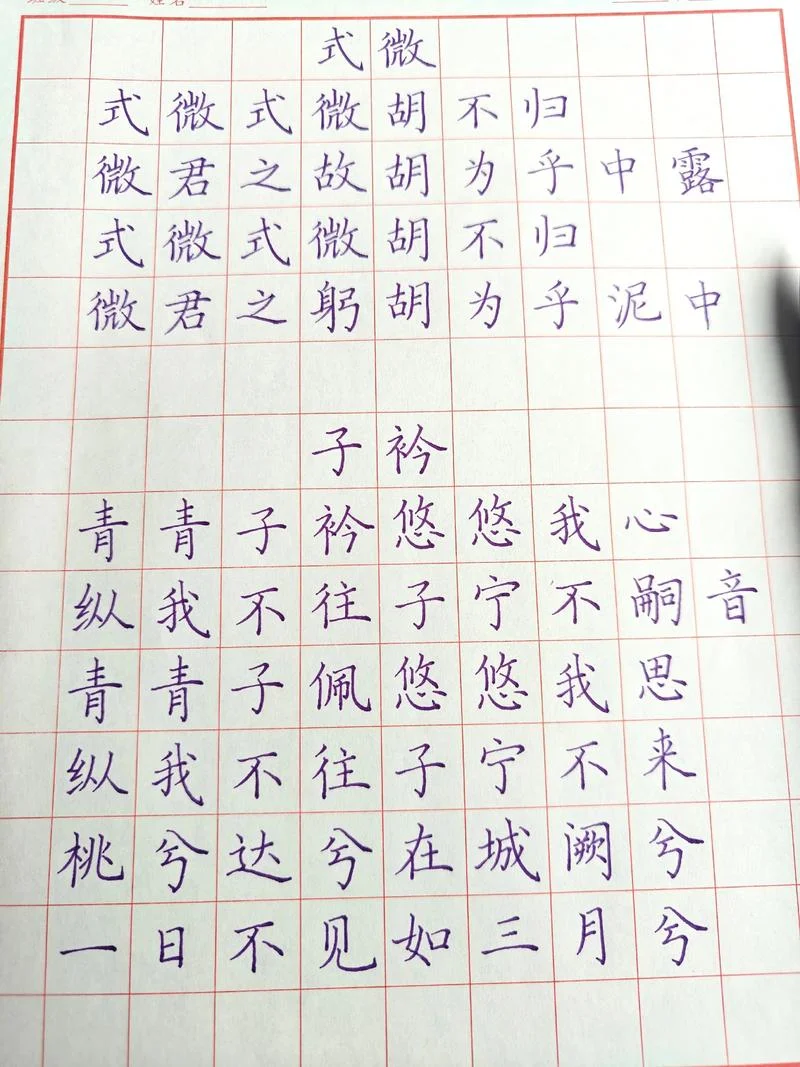 青青子衿悠悠我心出自哪_2