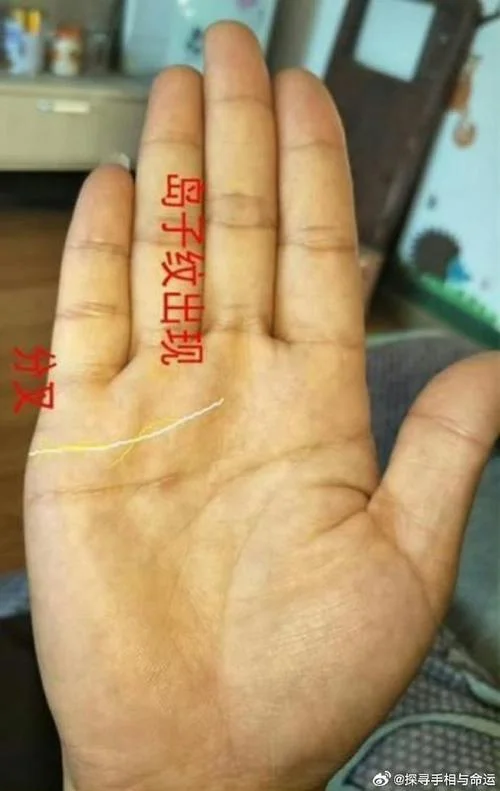 竖纹的手相_1