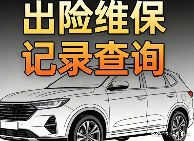 车辆保险在哪里查_2