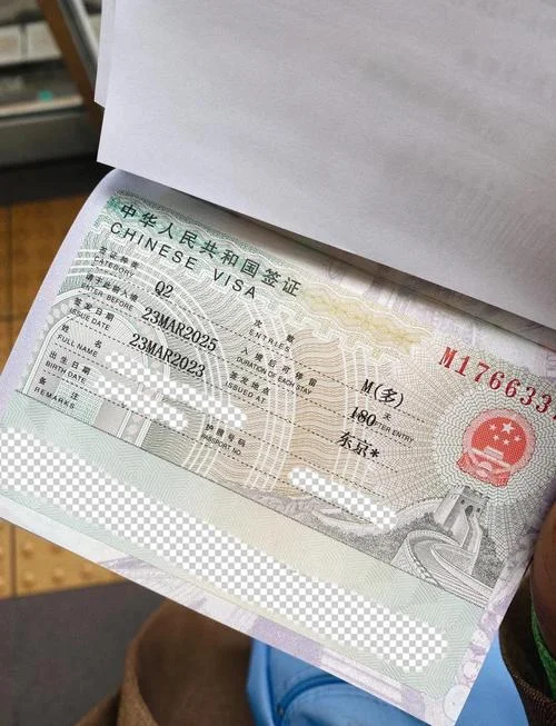 d2留学签证-简化