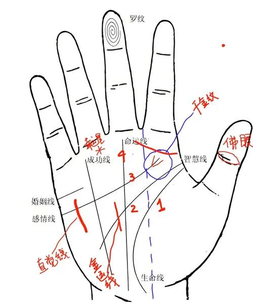 手机手掌算命_2