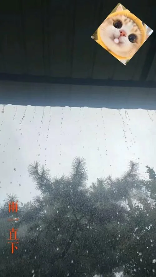 梦见屋子外面下雨_1