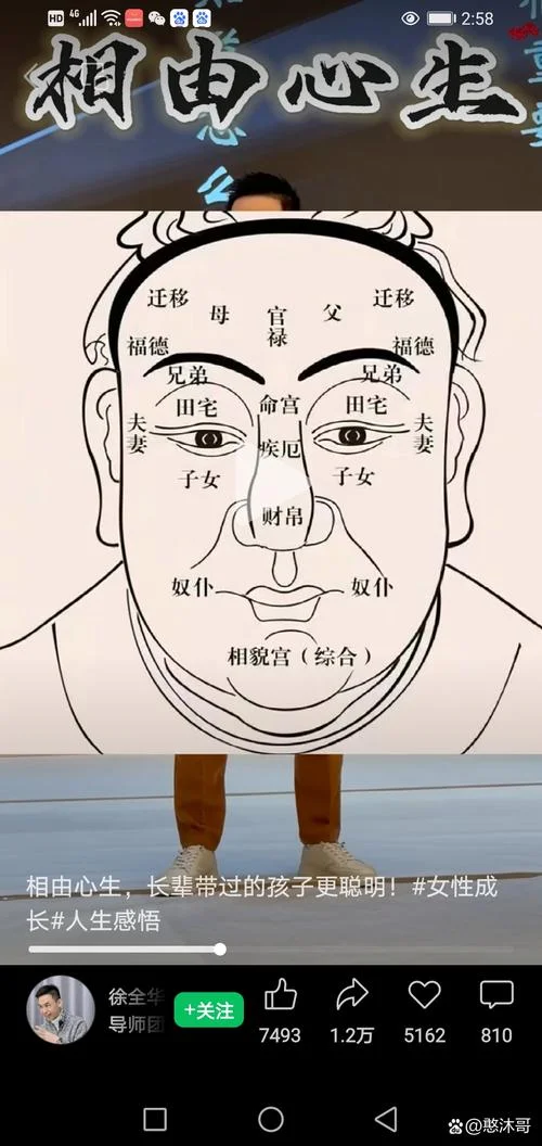 人脸的面相图_2