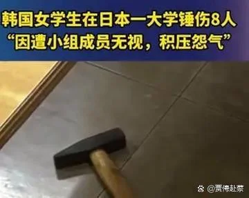 中国留学生打韩国人-留学生在韩打人
