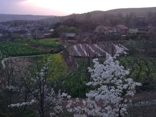 花开春暖全文阅读结局_1