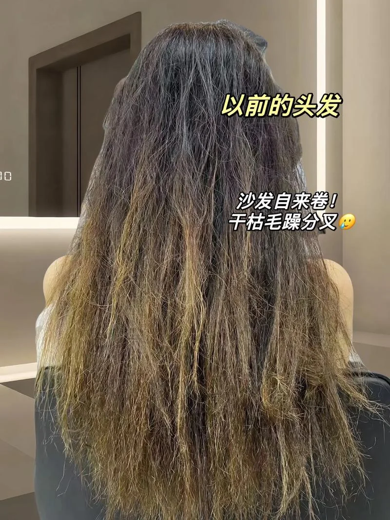 头发干枯毛躁打结怎么办_1