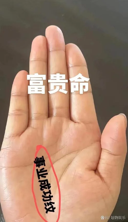 富贵命的手相图片-富贵命手相大吉