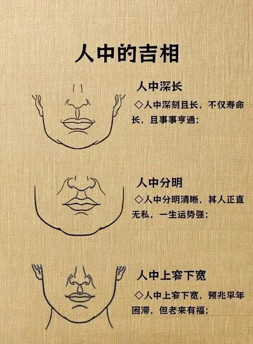 人脸的面相图-人脸面相图