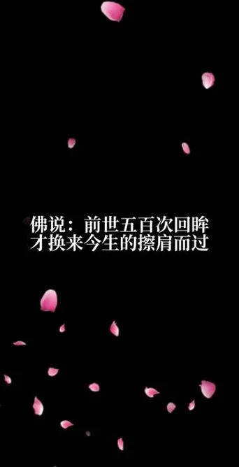 前世五百次回眸的感悟_1