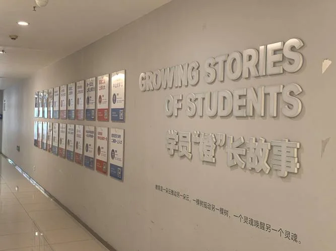 橙啦考研怎么样_2