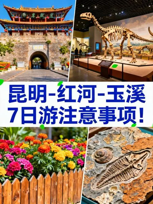 玉溪到昆明多少公里_2