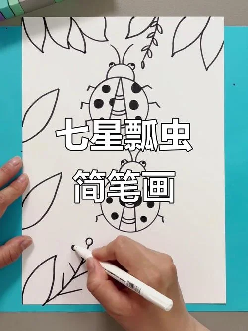卡通七星瓢虫简笔画-卡通七星瓢虫简笔画