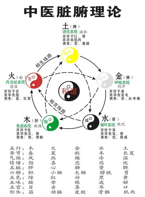 什么是中医?_1