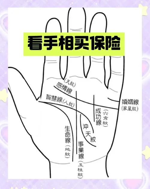 怎么看手相图解男左手_2