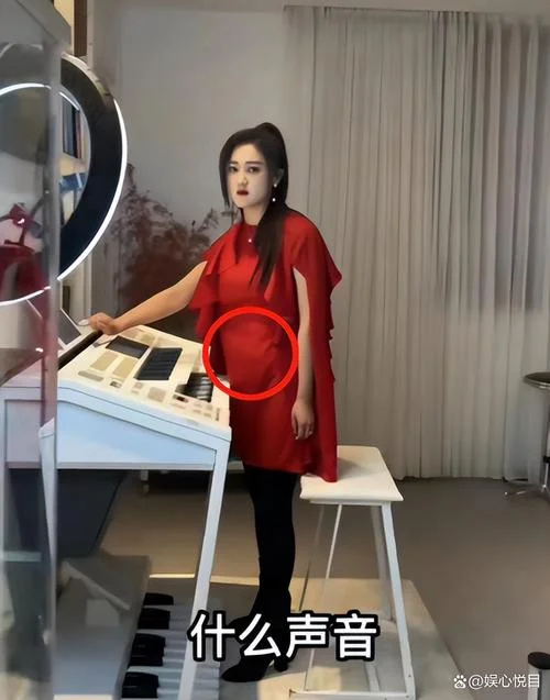 梦到自己怀孕小腹凸起_2