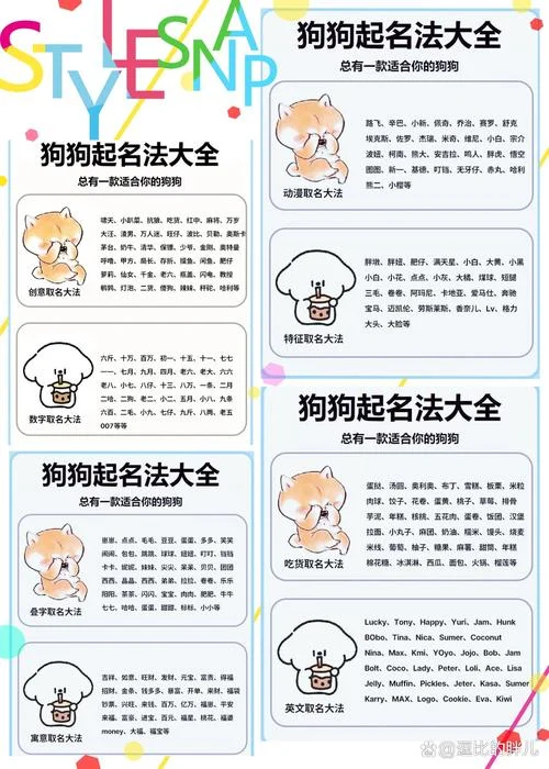 宠物的起名_2
