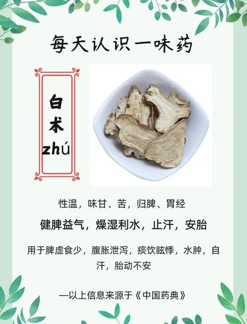 白术一亩地能产多少斤_1