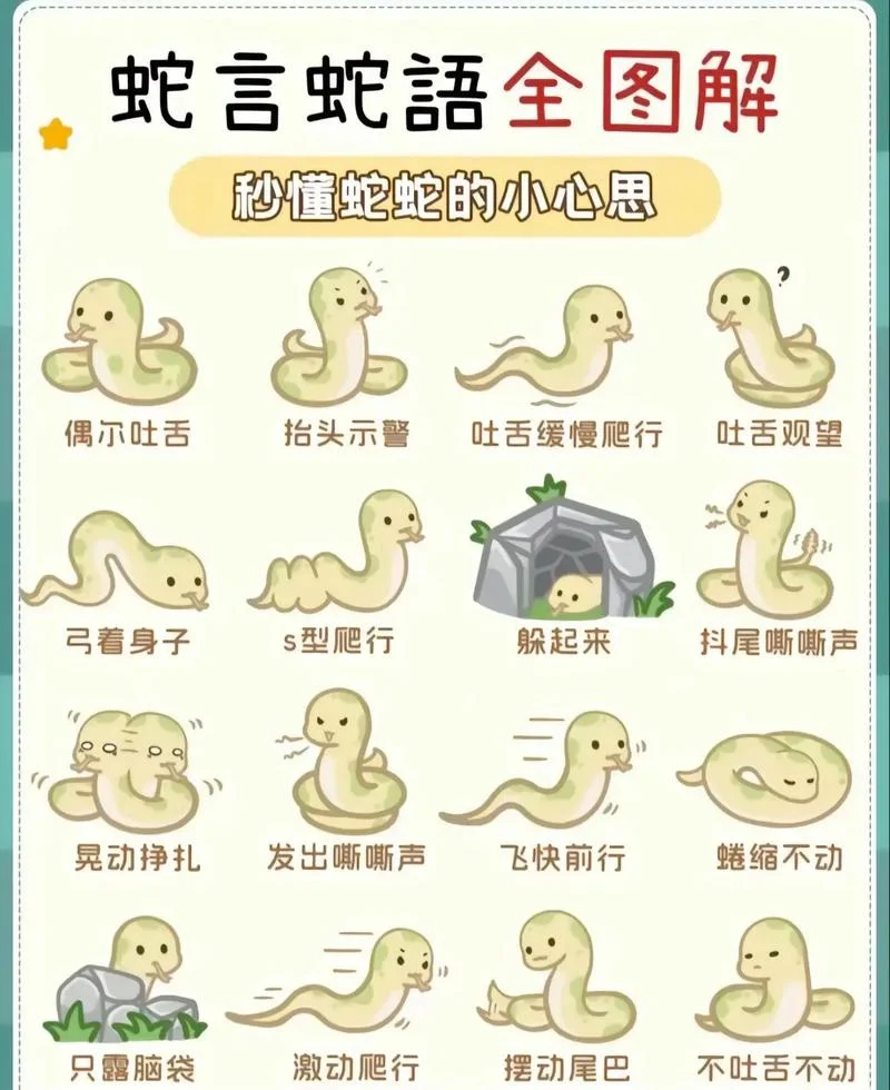 蛇出洞是几月_1