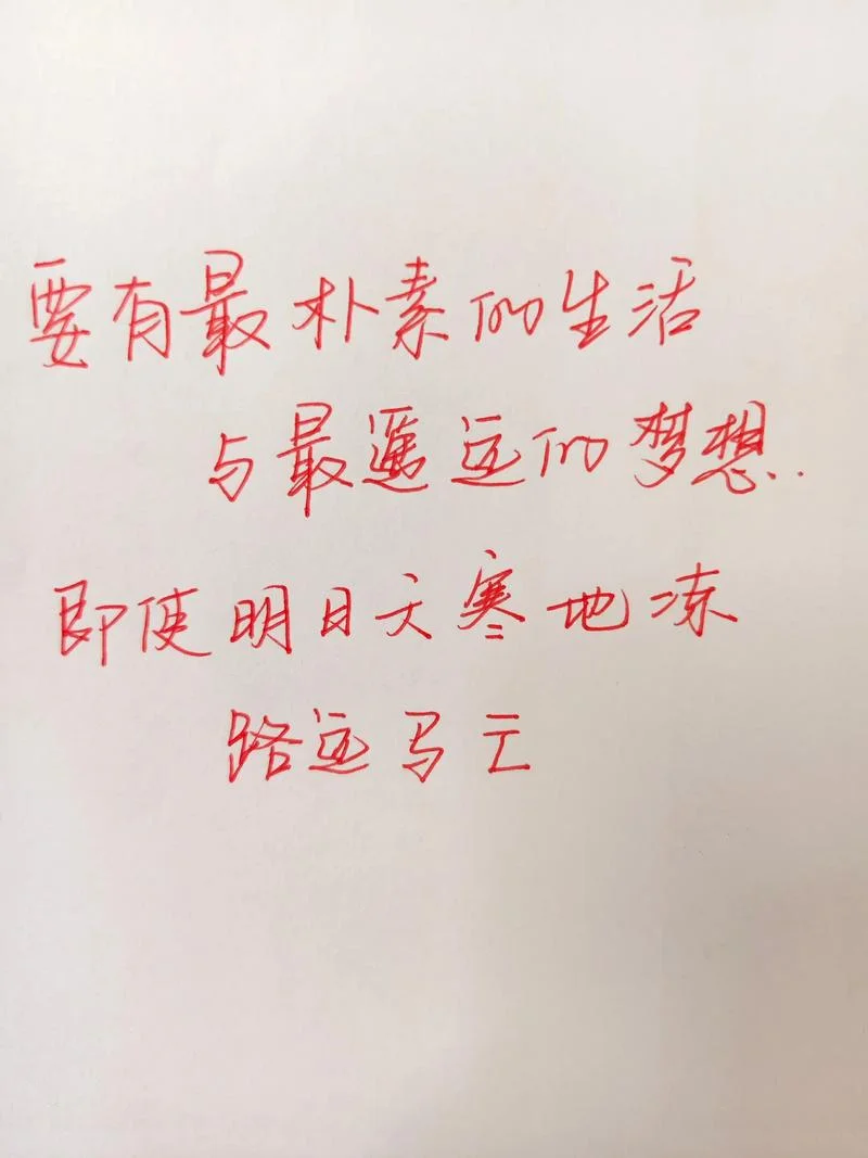 被窝是青春的坟墓感悟_1