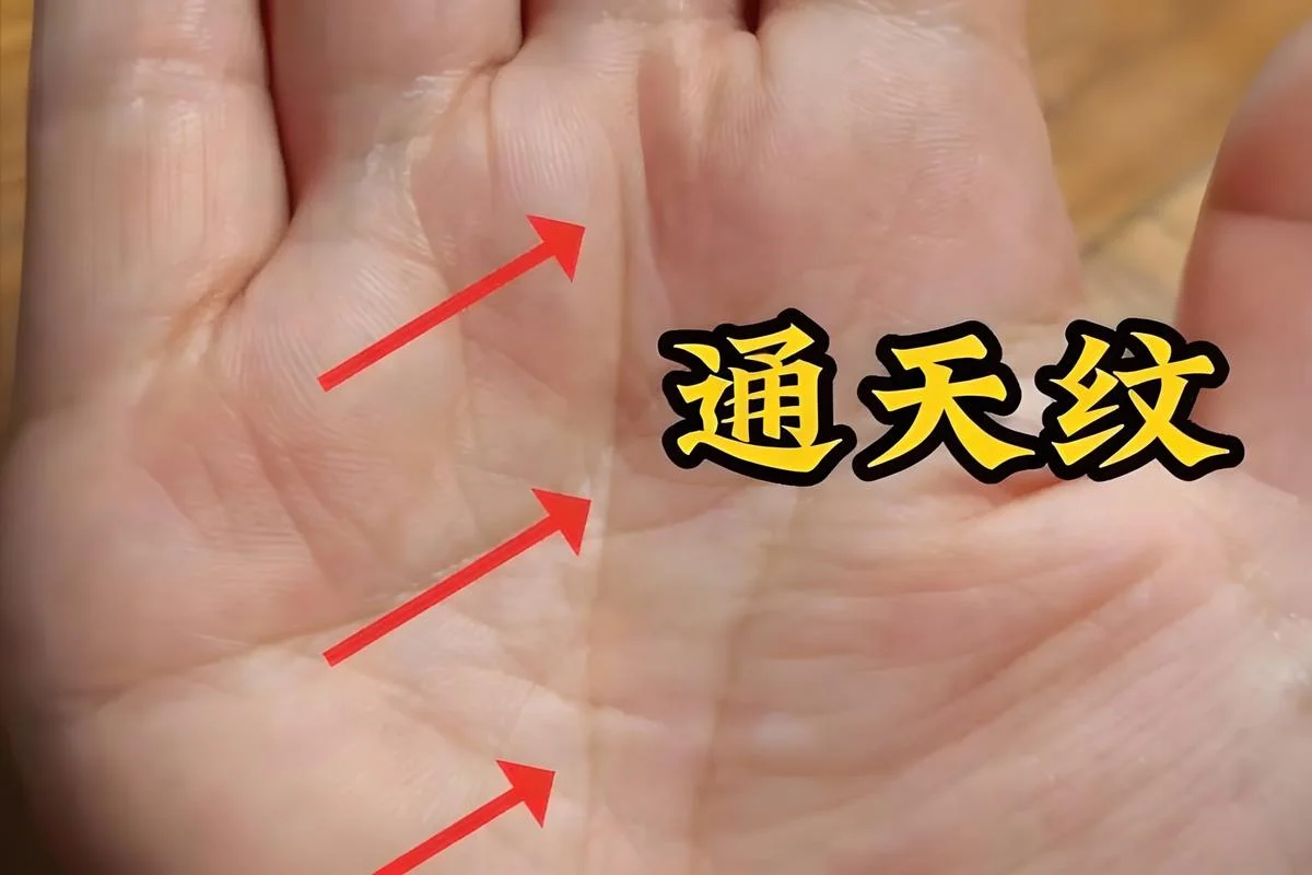 m手相与通天纹_1