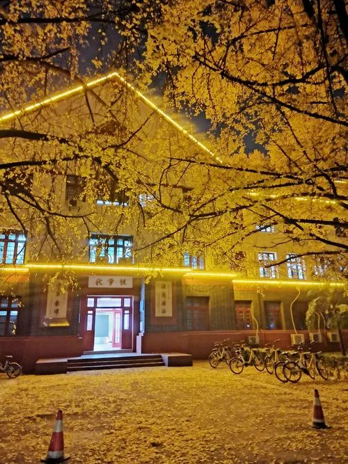 四川大学图书馆-川大图书馆
