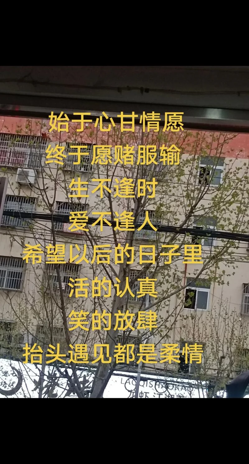 麻将输赢感悟_1