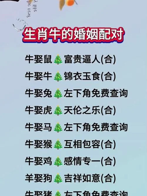97年属牛女几岁结婚好_1