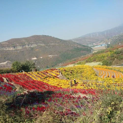 滦平有旅游景点吗_2