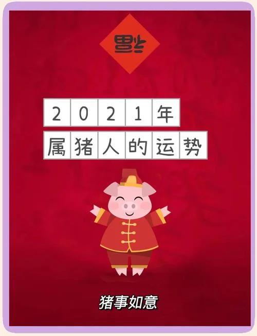 属猪几岁了2021年_1