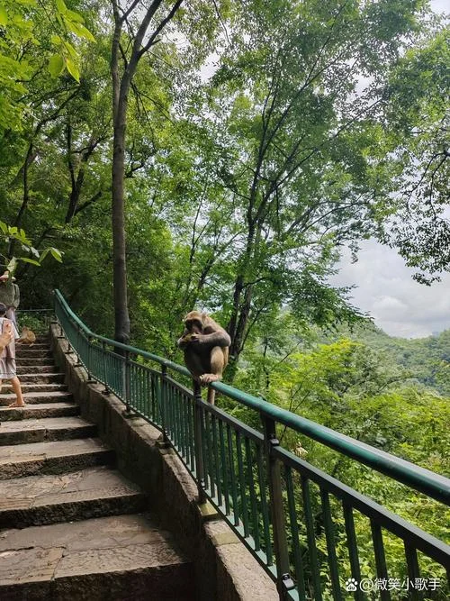 黔灵山的历史风光-黔灵山古韵