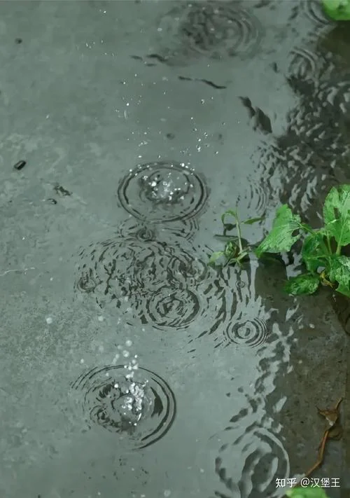梦见下雨是什么_1