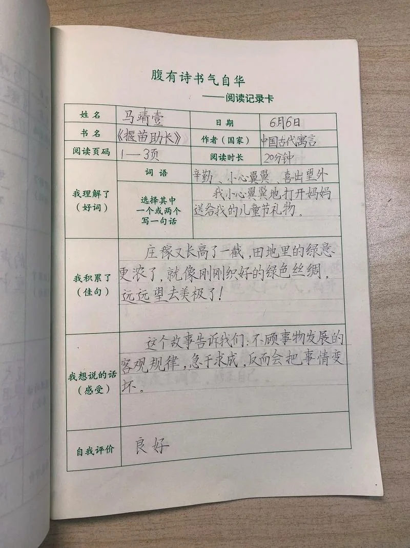 小学生读书笔记格式_2