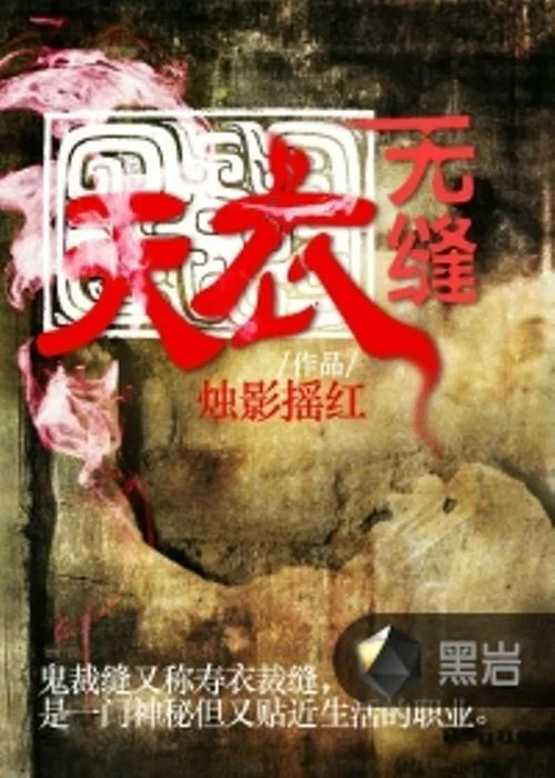 天衣无缝小说作者是谁_2