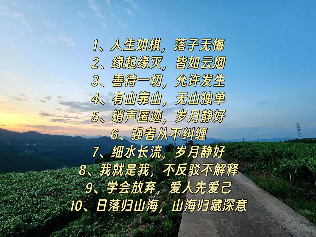 好听的人生感悟歌曲_1