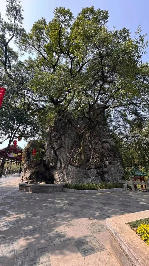桂林农家乐周边游推荐_1