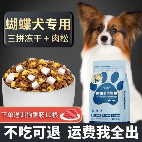 蝴蝶犬买什么狗粮_2