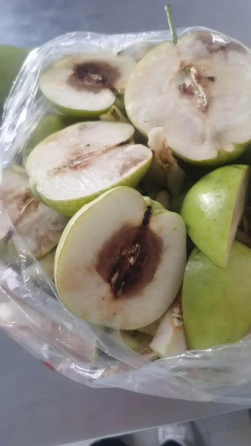 梦见水果烂了一点_2