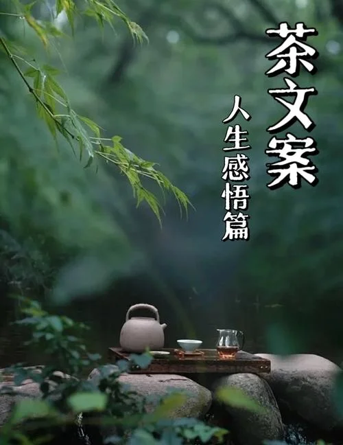 品茶人生的感悟_1