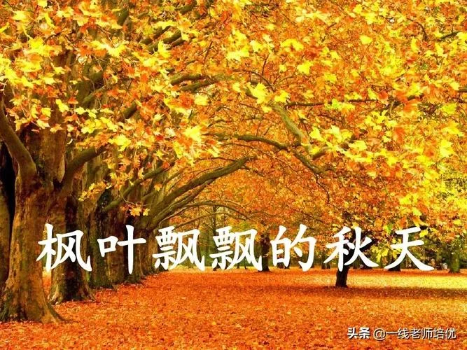 时光瘦了这词出自哪里-时光瘦了出处