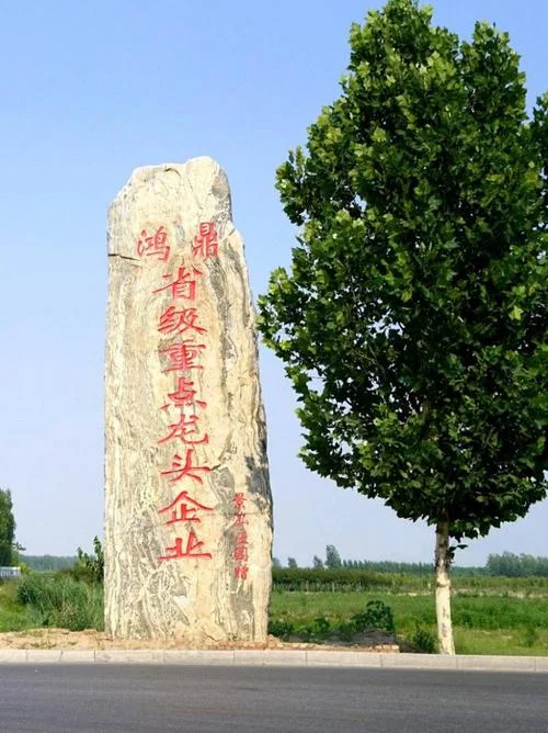 邵阳农业公司起名大全_1