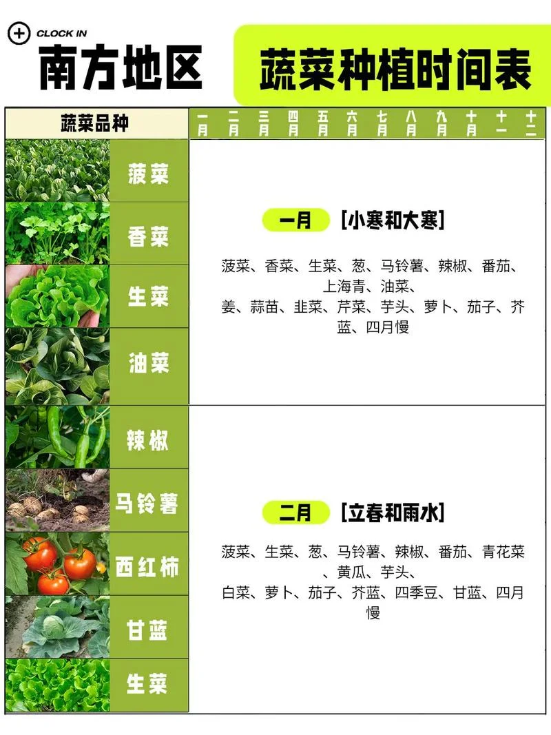 苦瓜种子几月份播种_1