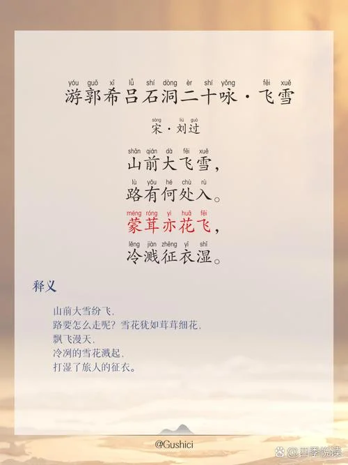 回乐峰前沙似雪下一句_1