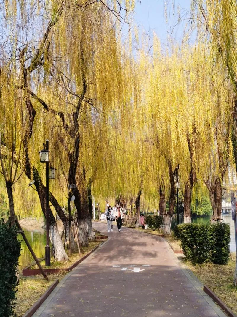 南昌冬季一日游景点-南昌冬季景点推荐