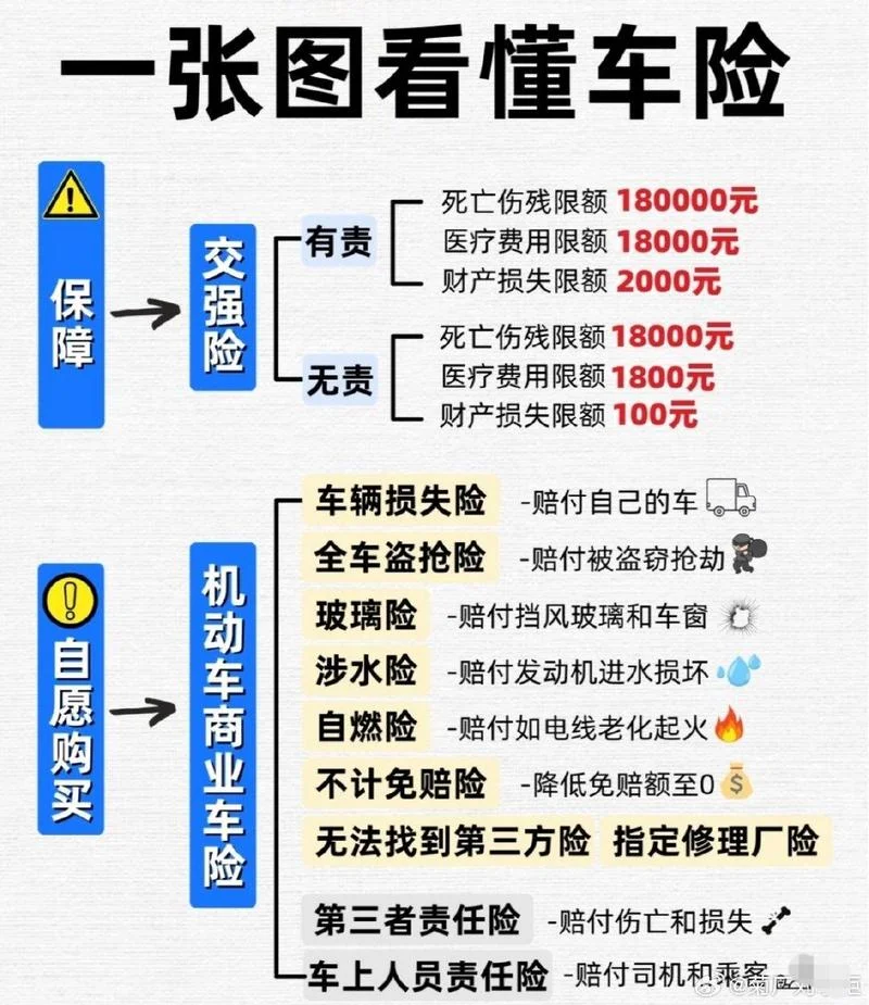 车子交强险在哪里查_1