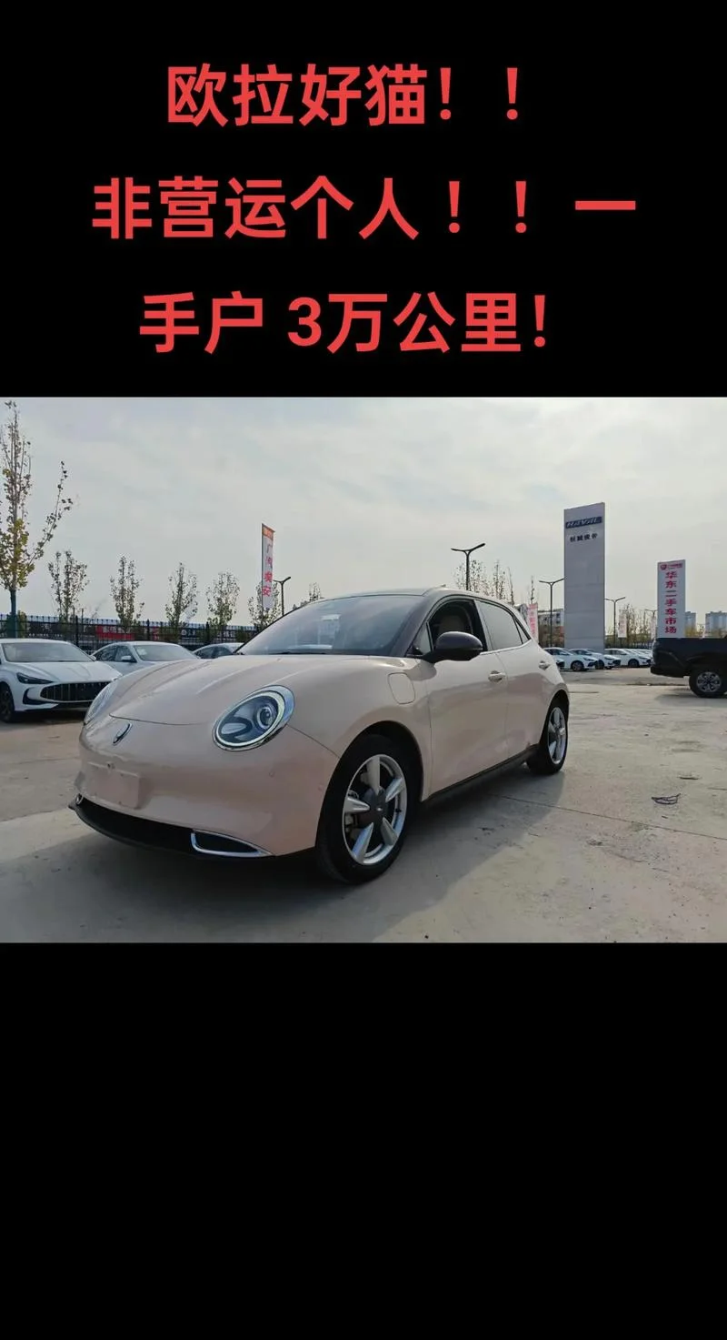 欧拉好猫跑多少公里-