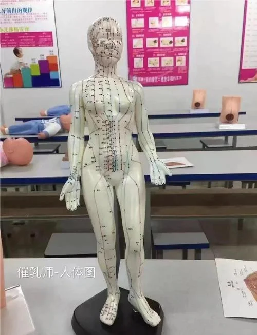 催乳师叫什么名好_1