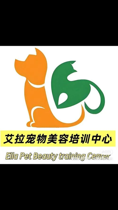 宠物培训班怎么报名_1